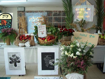 הקלק להצגת הכתבה המלאה